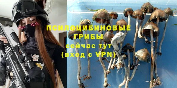 метадон Арсеньев