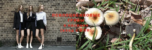 таблы Аркадак