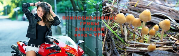 метадон Арсеньев