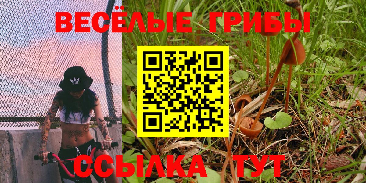 Электрогорск  Галлюциногенные грибы мицелий  Вход с VPN  Галлюциногенные грибы прущие грибы 